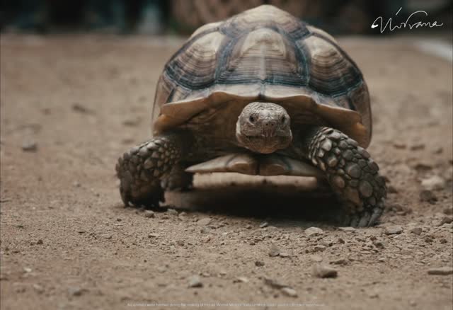 Still from Ramco | Hard Worker
