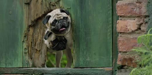 Still from Vodafone – Stronger Together