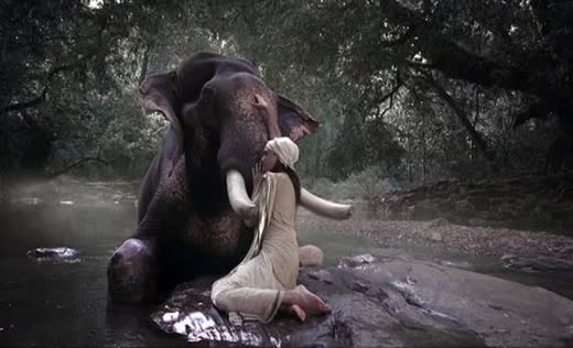Still from Kerala Tourism